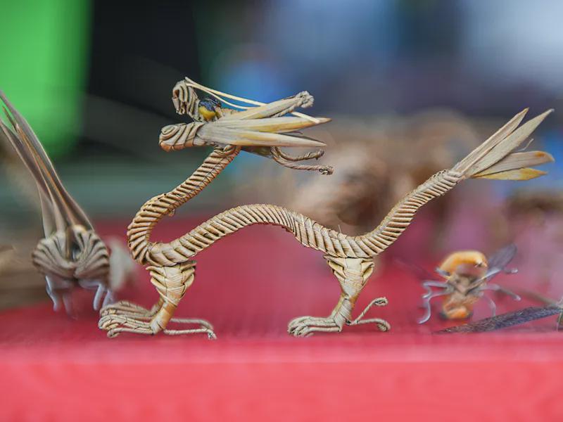 开云体育下载-2026盐城足球超级联赛射阳主场，吃喝玩乐福利全攻略→